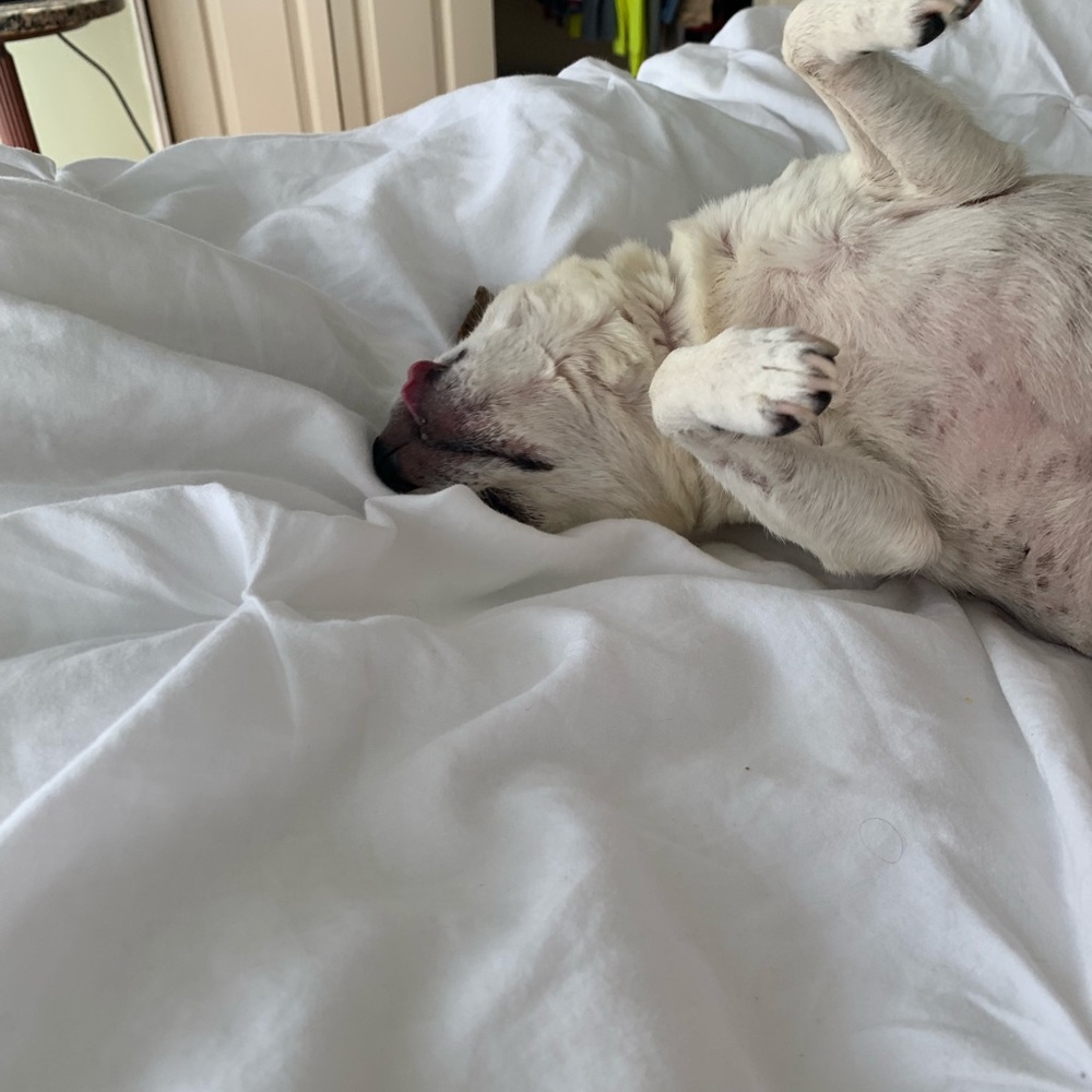 Meet your Posher, Erik